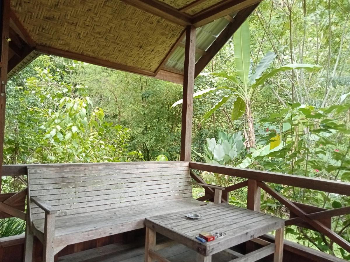 Thousand Hills Ketambe ,Room And Treking Lhokuenam Exterior photo