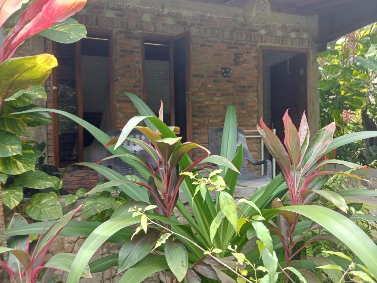 Thousand Hills Ketambe ,Room And Treking Lhokuenam Exterior photo