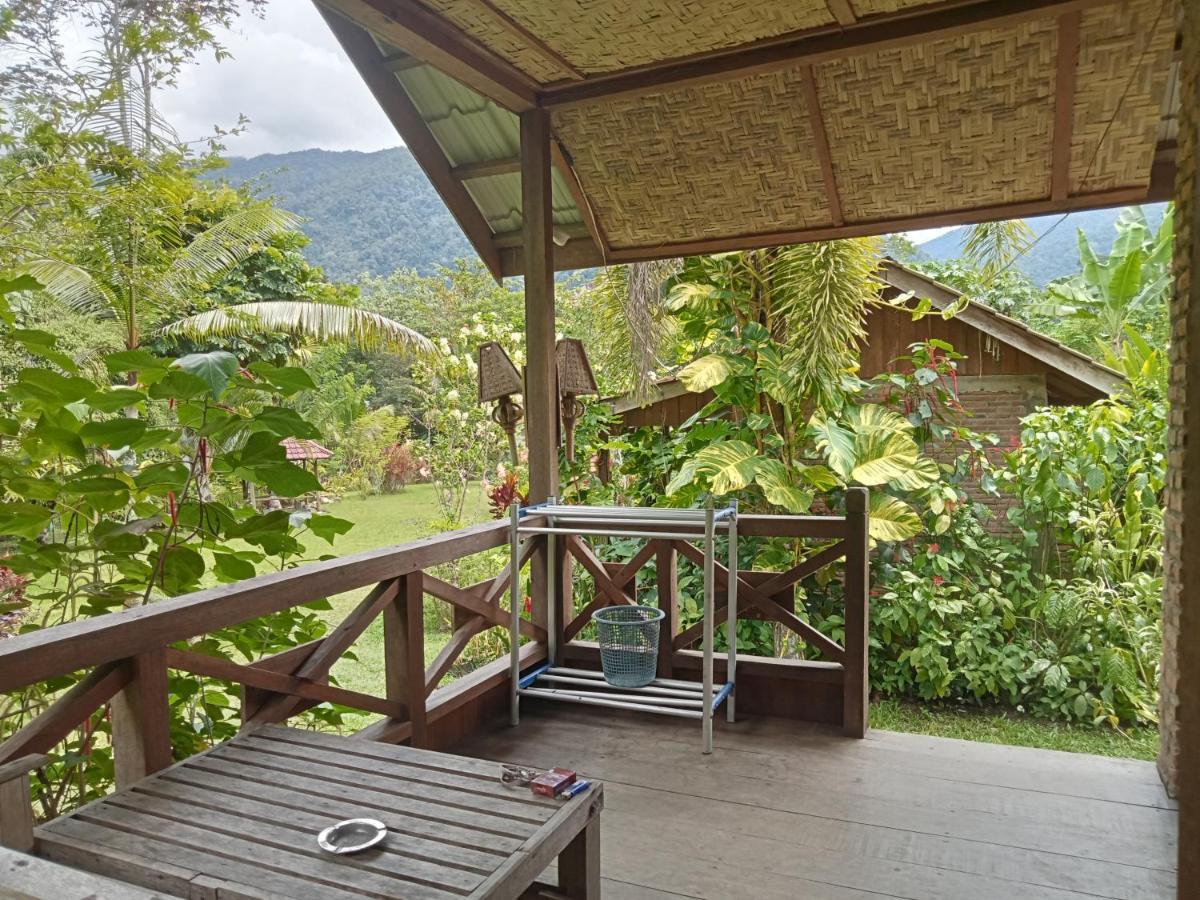 Thousand Hills Ketambe ,Room And Treking Lhokuenam Exterior photo