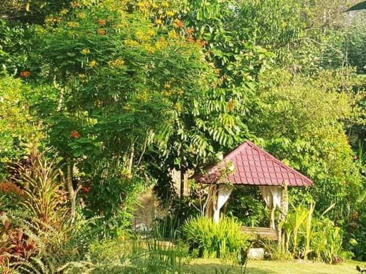 Thousand Hills Ketambe ,Room And Treking Lhokuenam Exterior photo