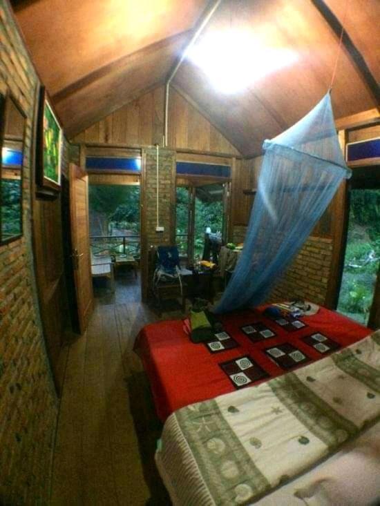Thousand Hills Ketambe ,Room And Treking Lhokuenam Exterior photo