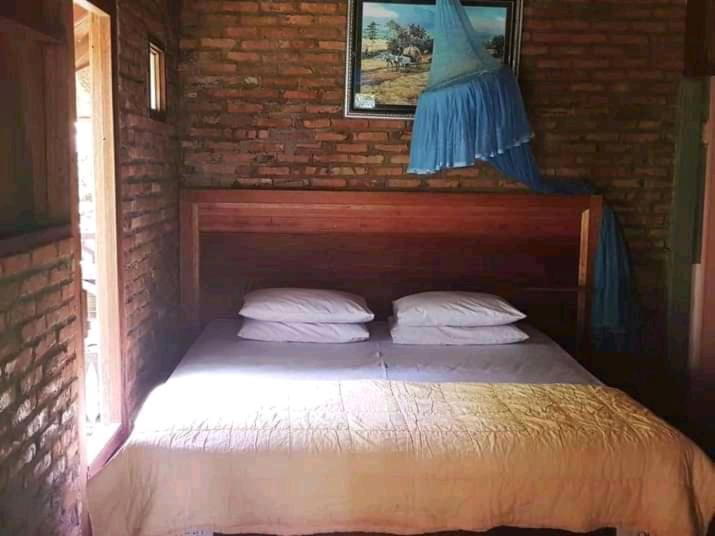 Thousand Hills Ketambe ,Room And Treking Lhokuenam Exterior photo
